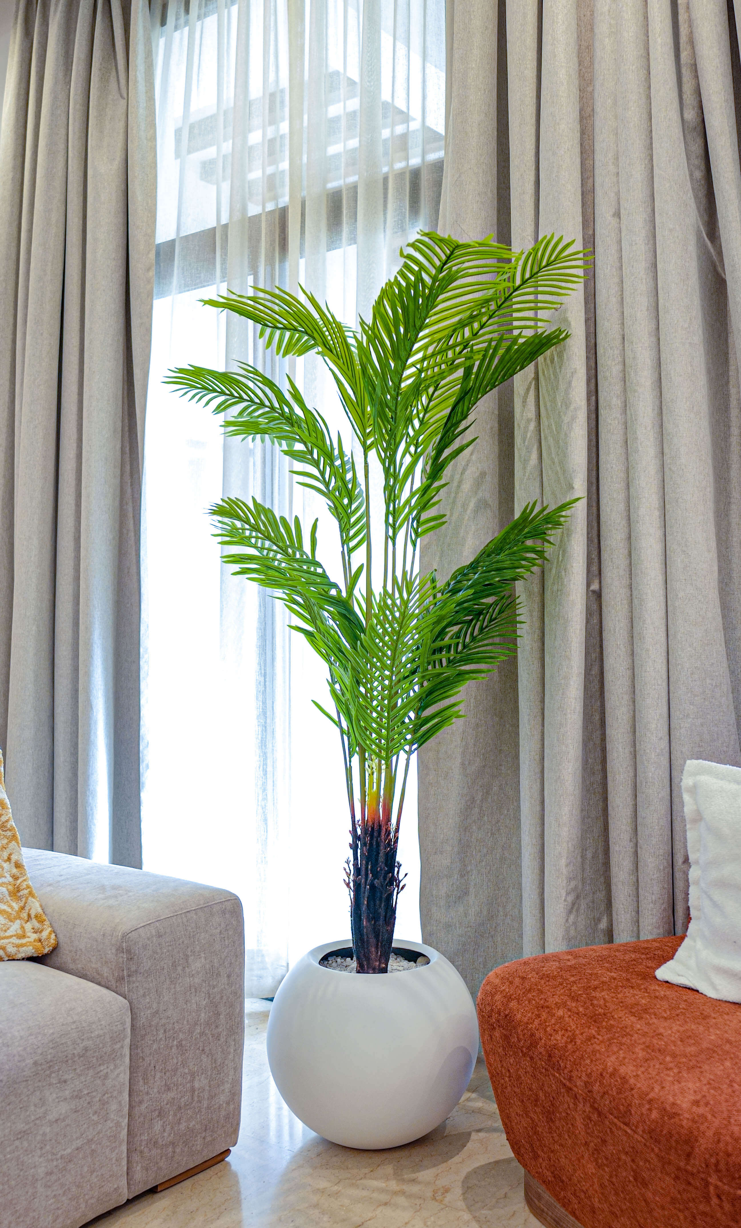 Palmier Élégance Zen 🌿✨