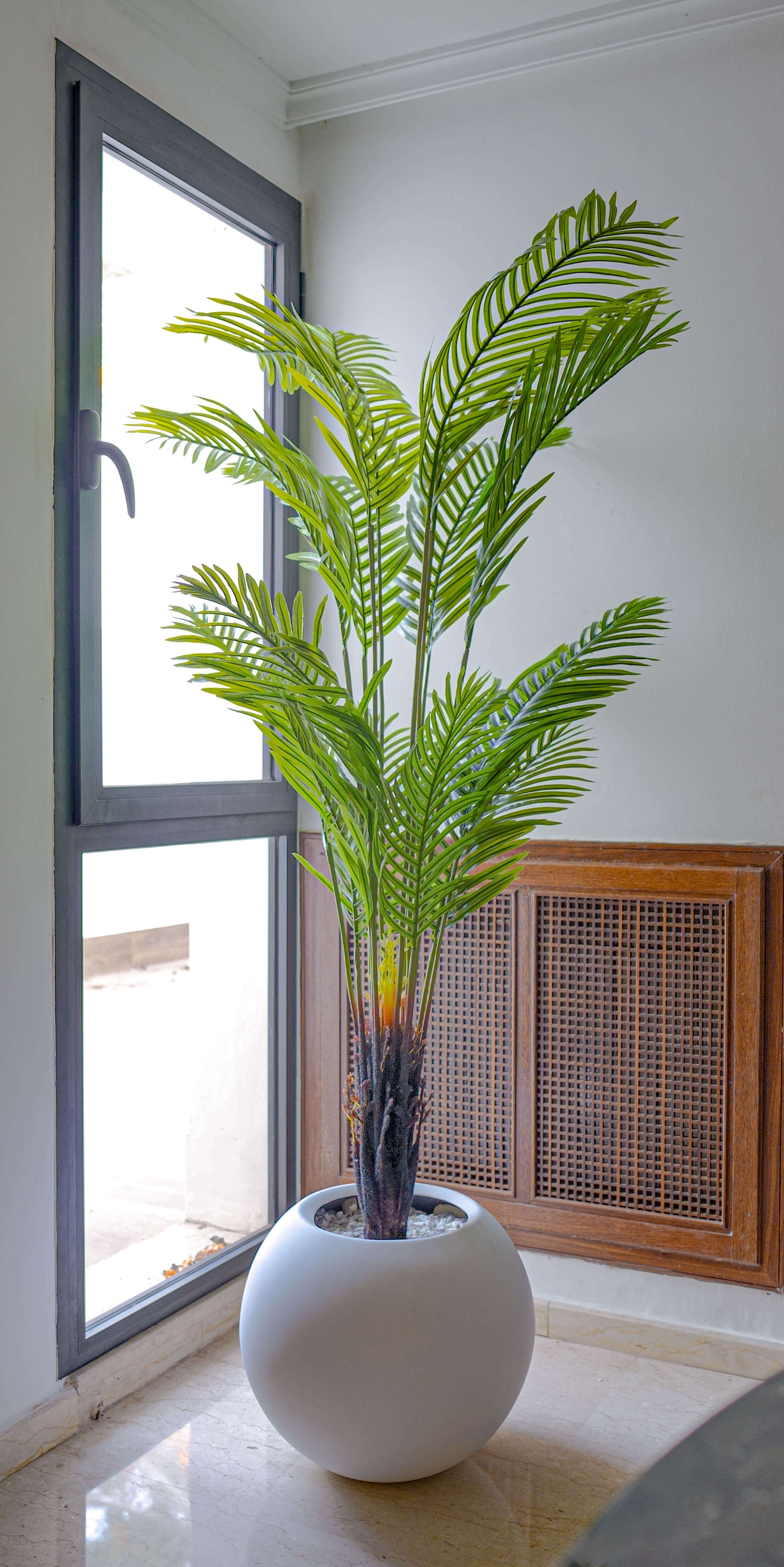 Palmier Élégance Zen 🌿✨