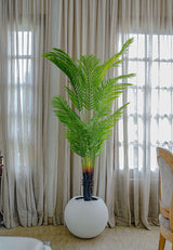 Palmier Élégance Zen 🌿✨