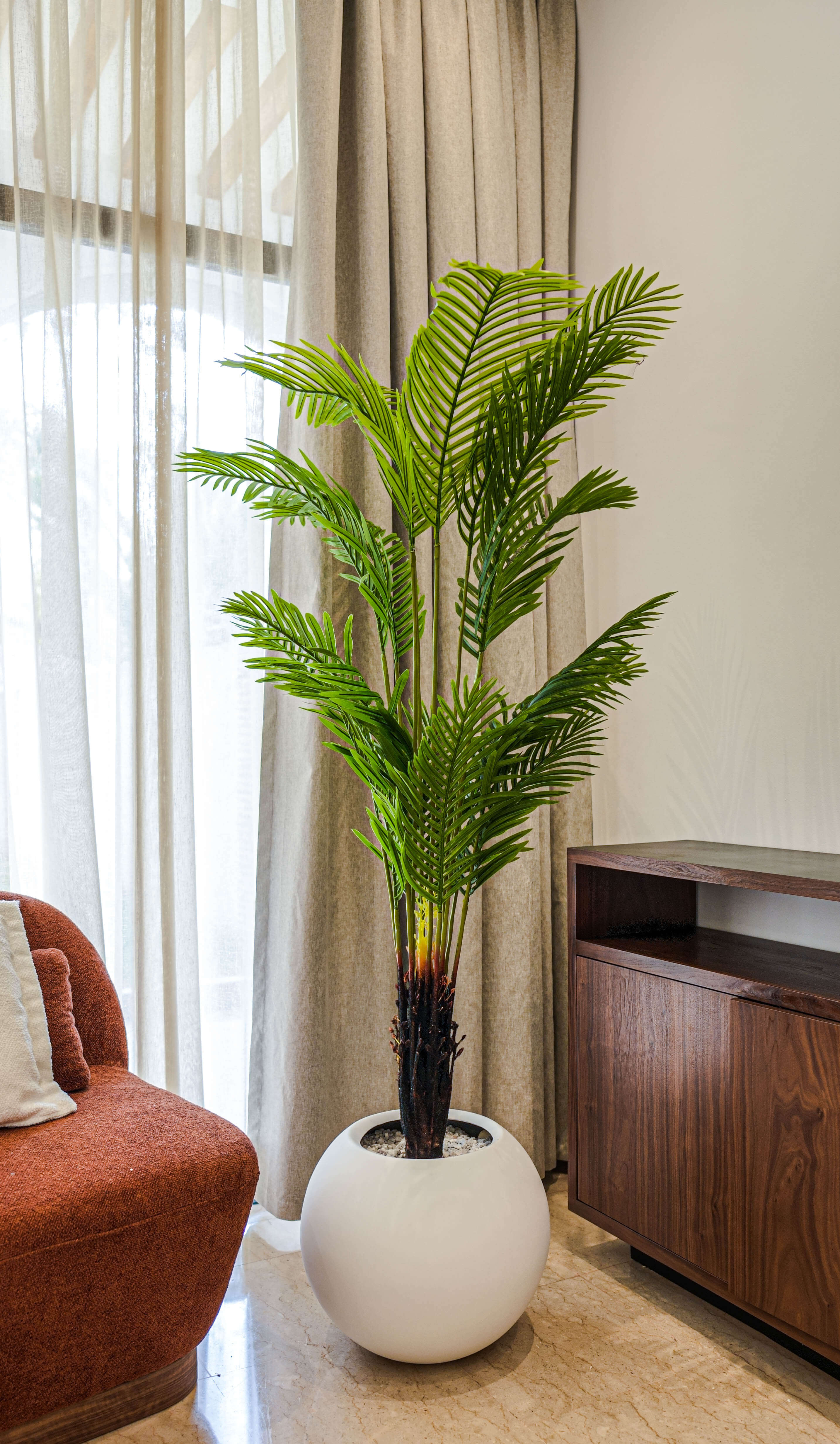 Palmier Élégance Zen 🌿✨