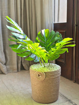 Composition Florale - Panier Vert