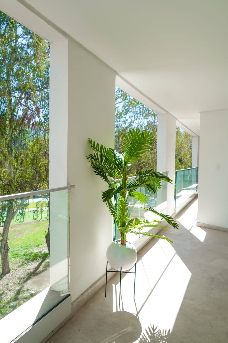 Éternité Tropicale