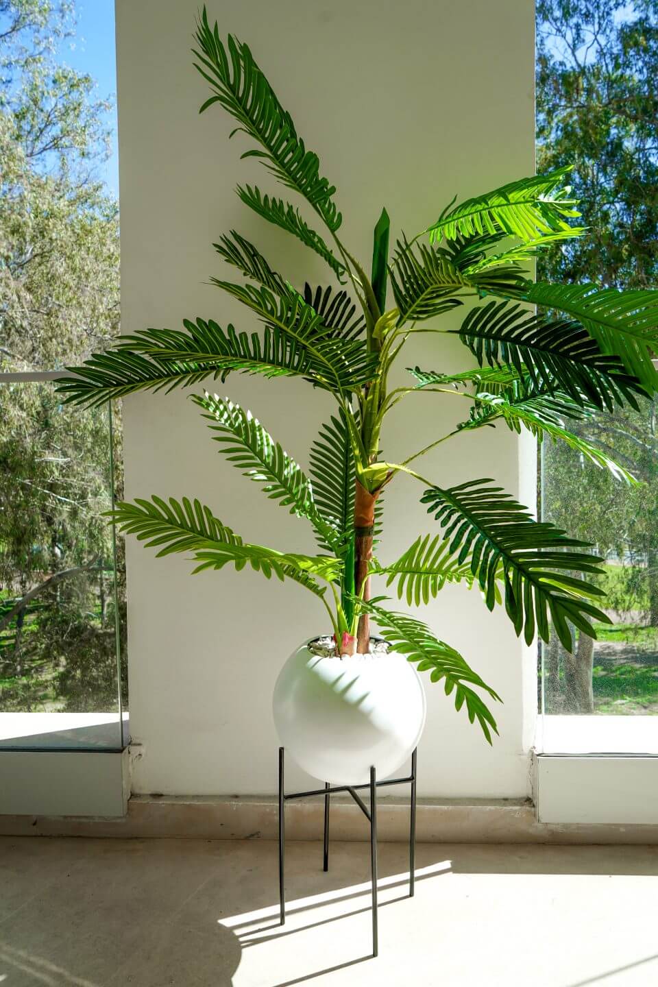 Éternité Tropicale