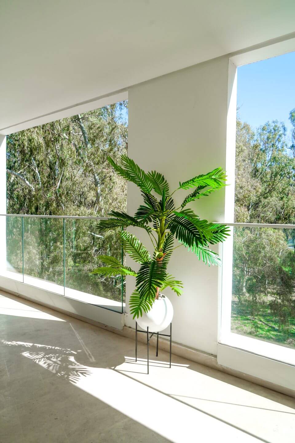 Éternité Tropicale