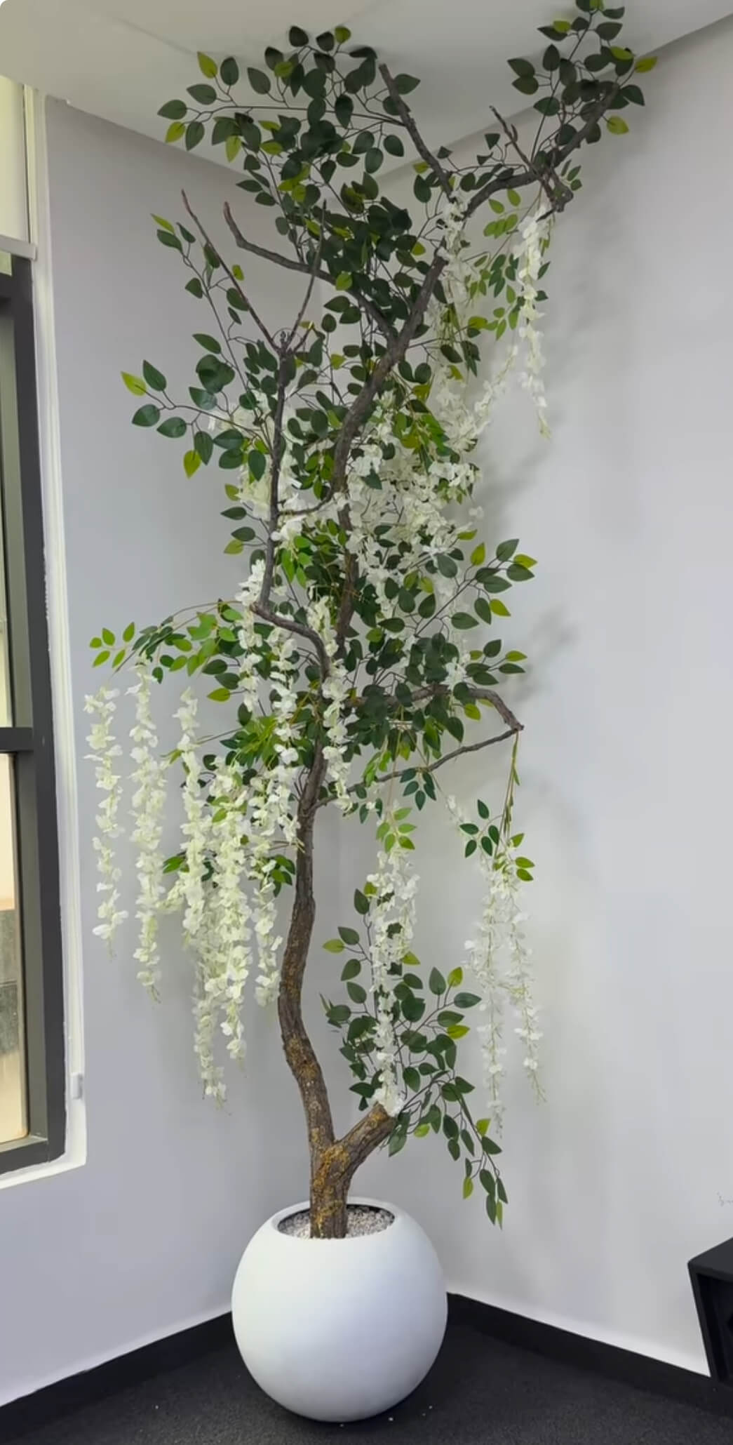 Cascade Blanche Éternelle