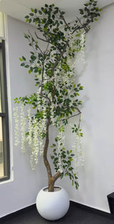 Cascade Blanche Éternelle