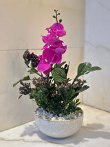 Composition florale -  Orchidée Rose