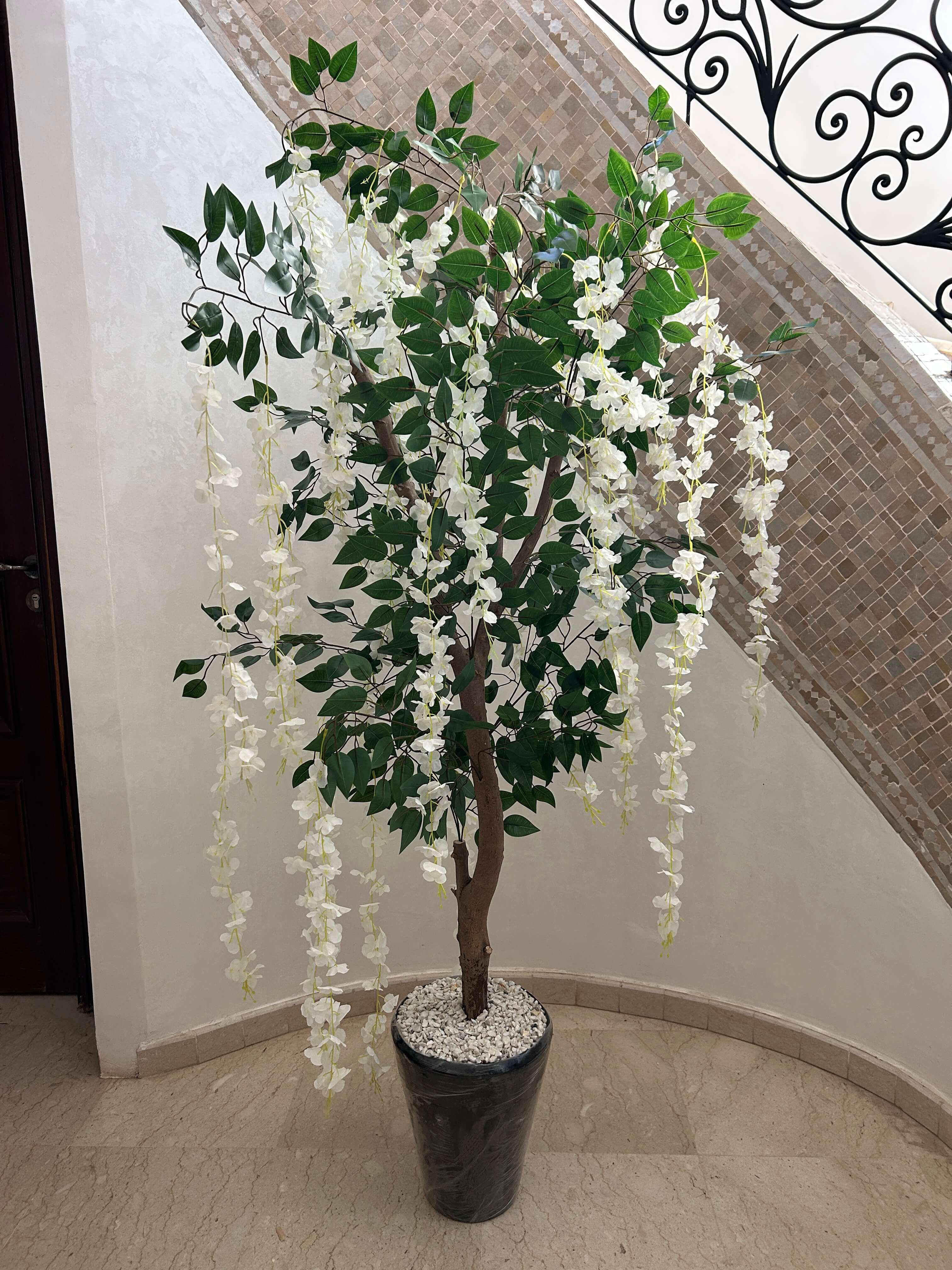 Élégance Cascade Blanche