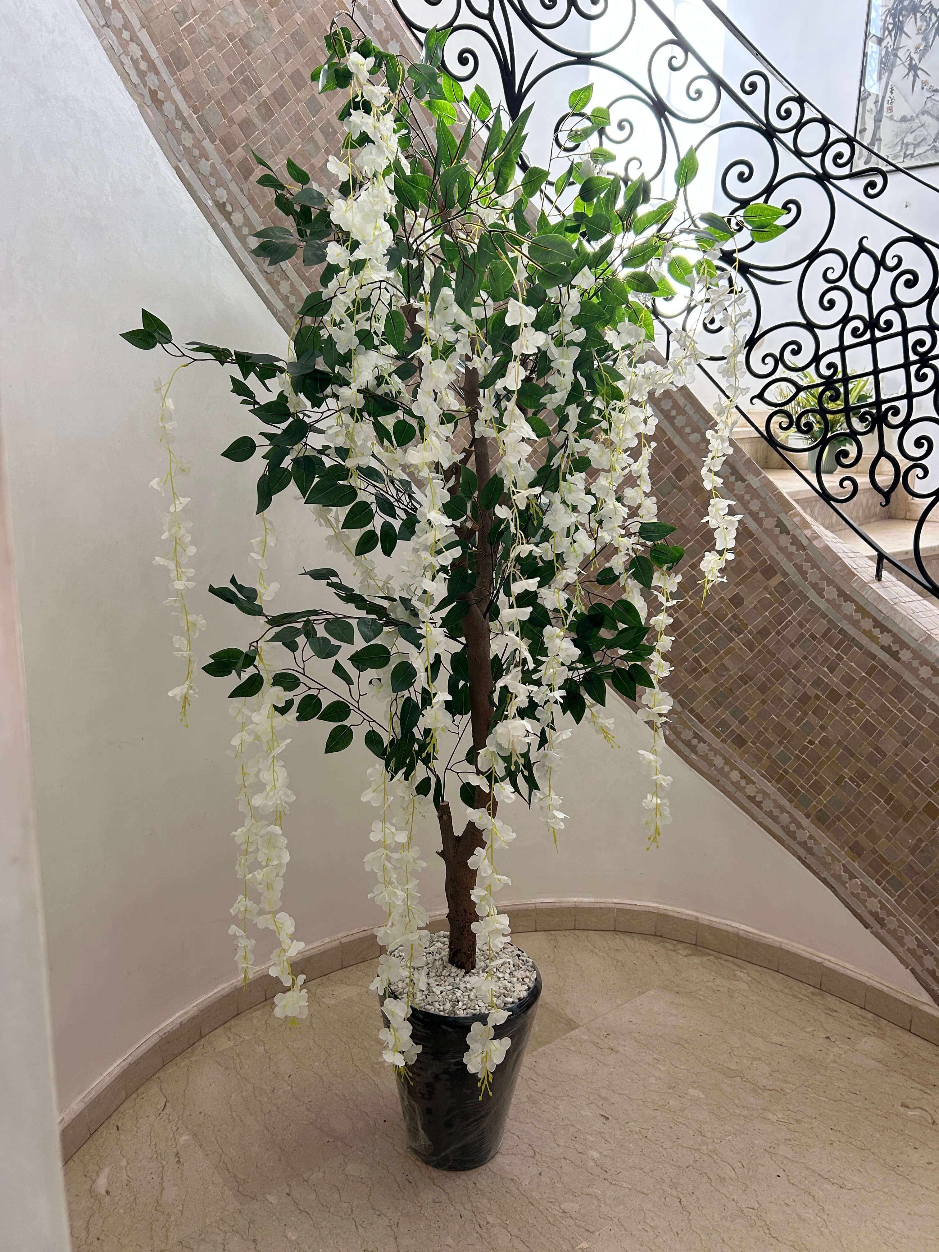 Élégance Cascade Blanche