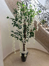 Élégance Cascade Blanche