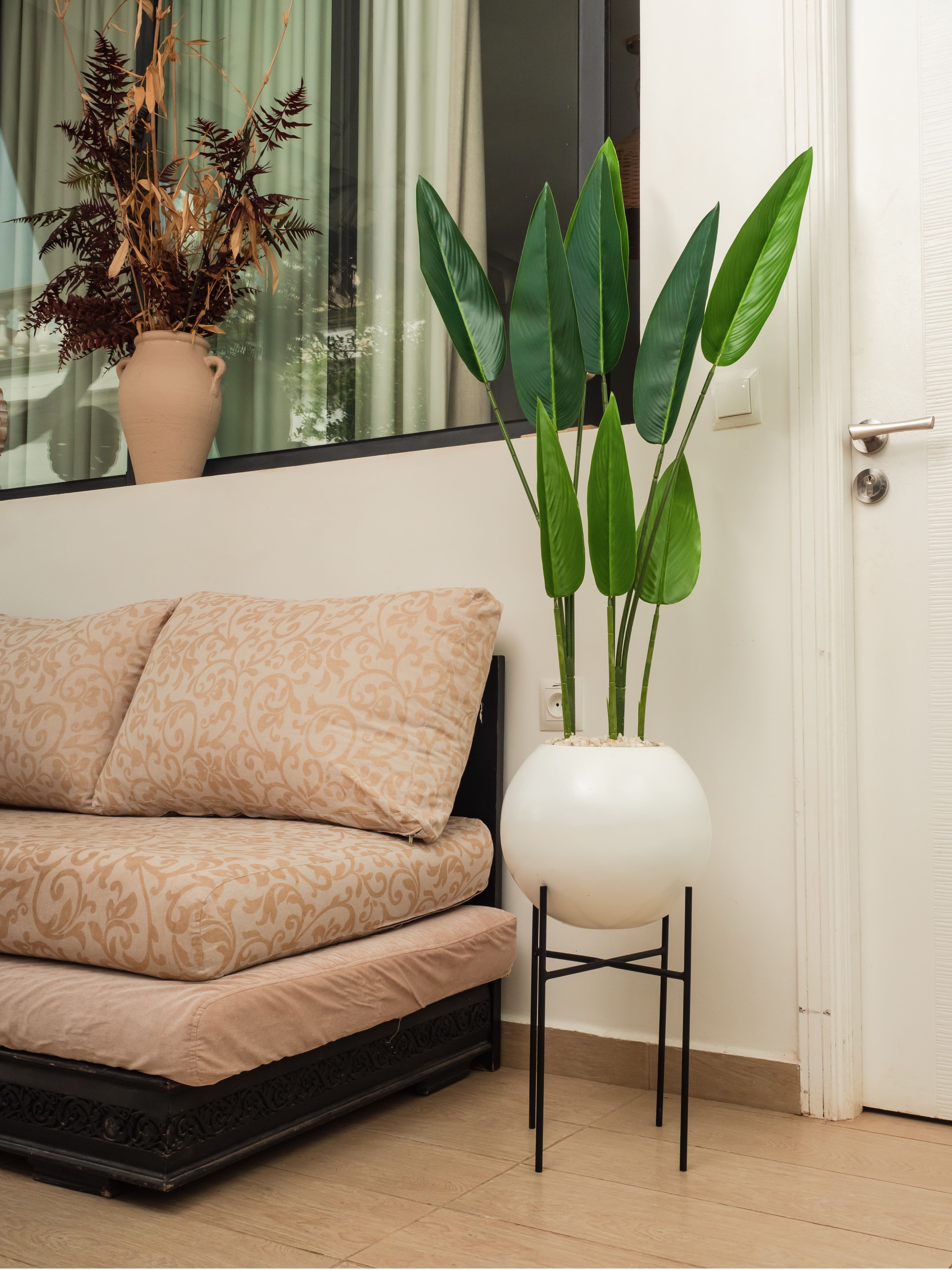 Silhouette Tropicale