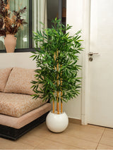 Bambou Élégance Zen