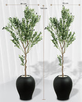 Olivier Déco Méditerranée