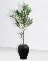 Olivier Déco Méditerranée