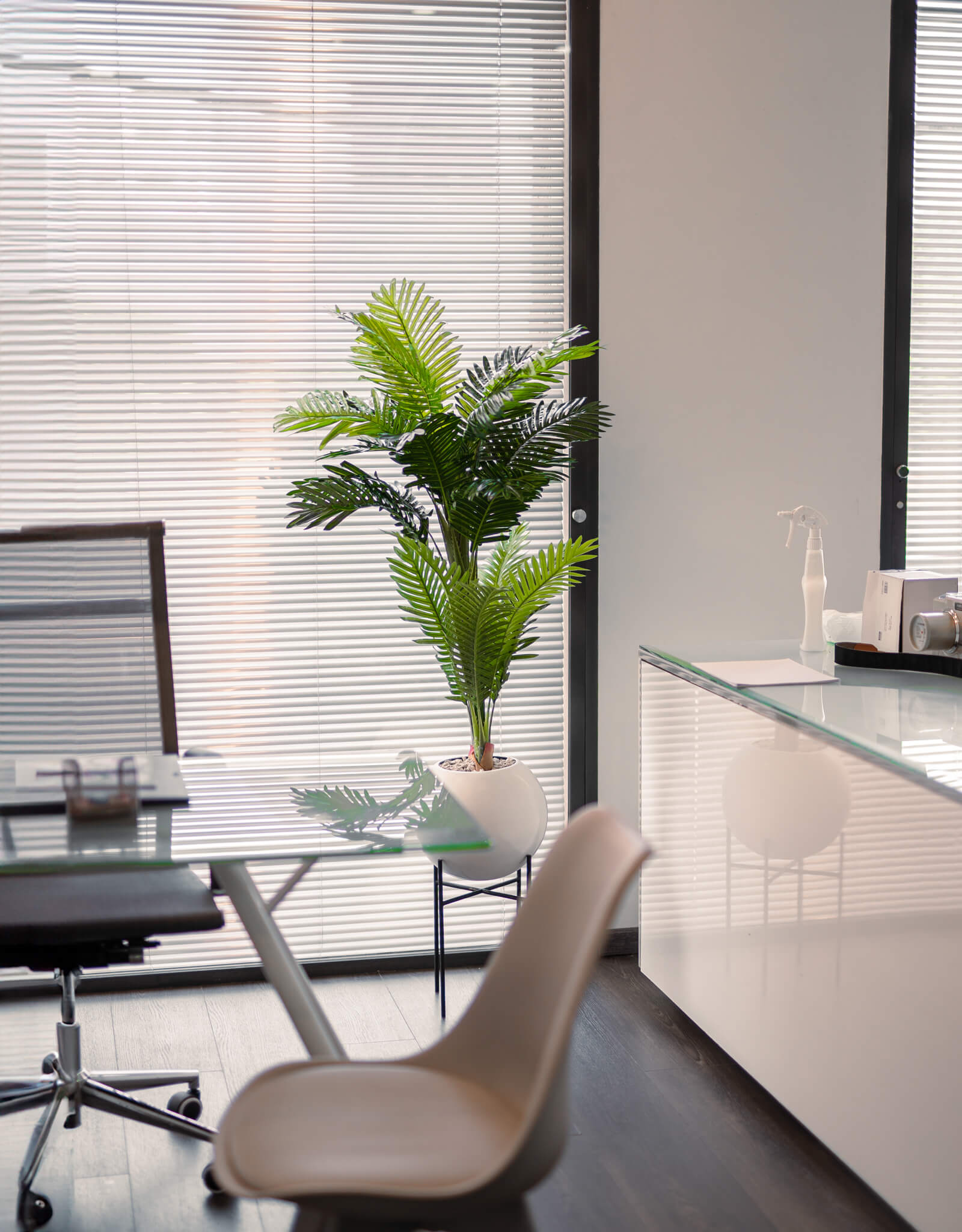 Éternité Tropicale