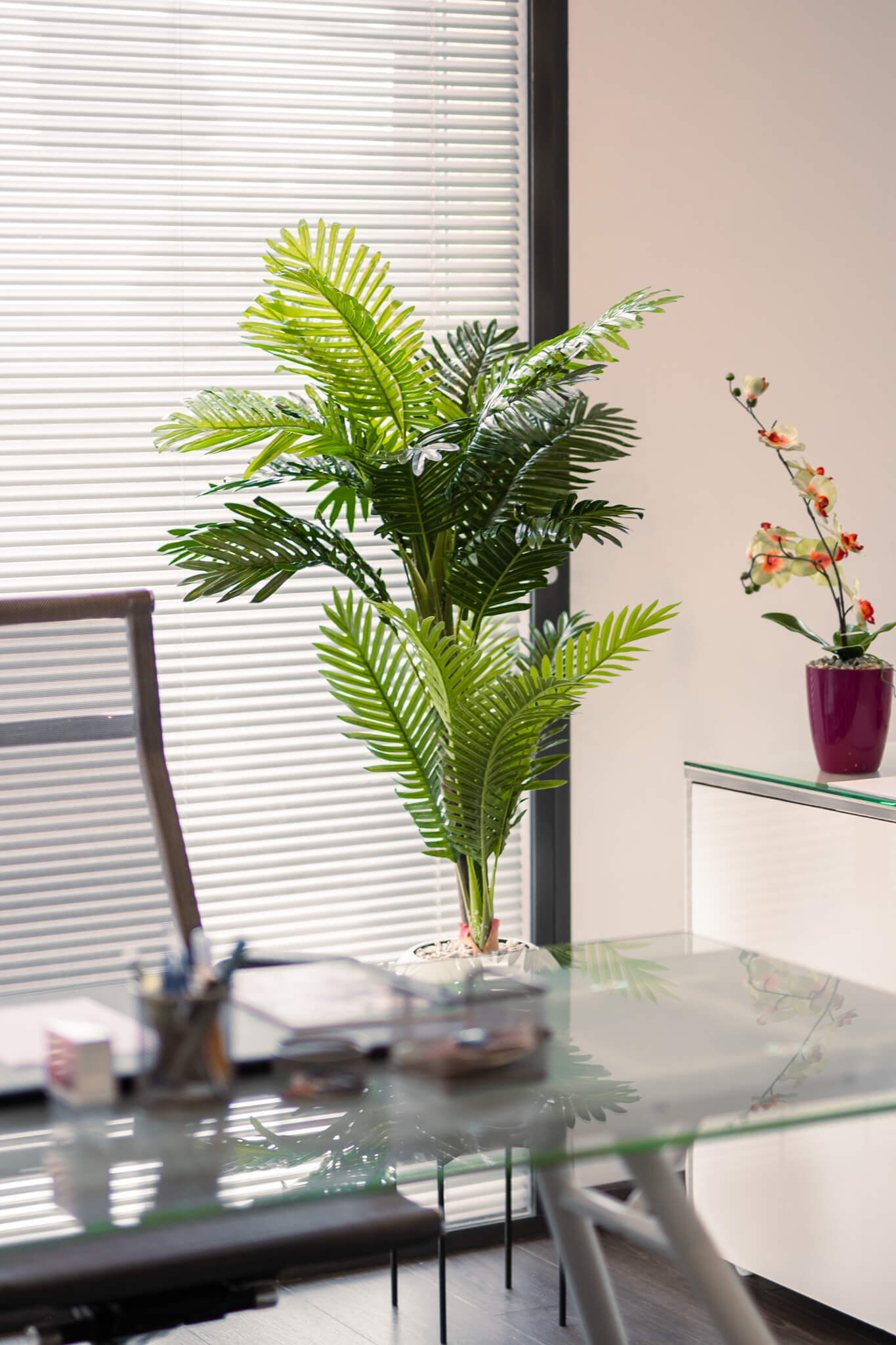 Éternité Tropicale