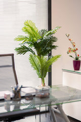 Éternité Tropicale