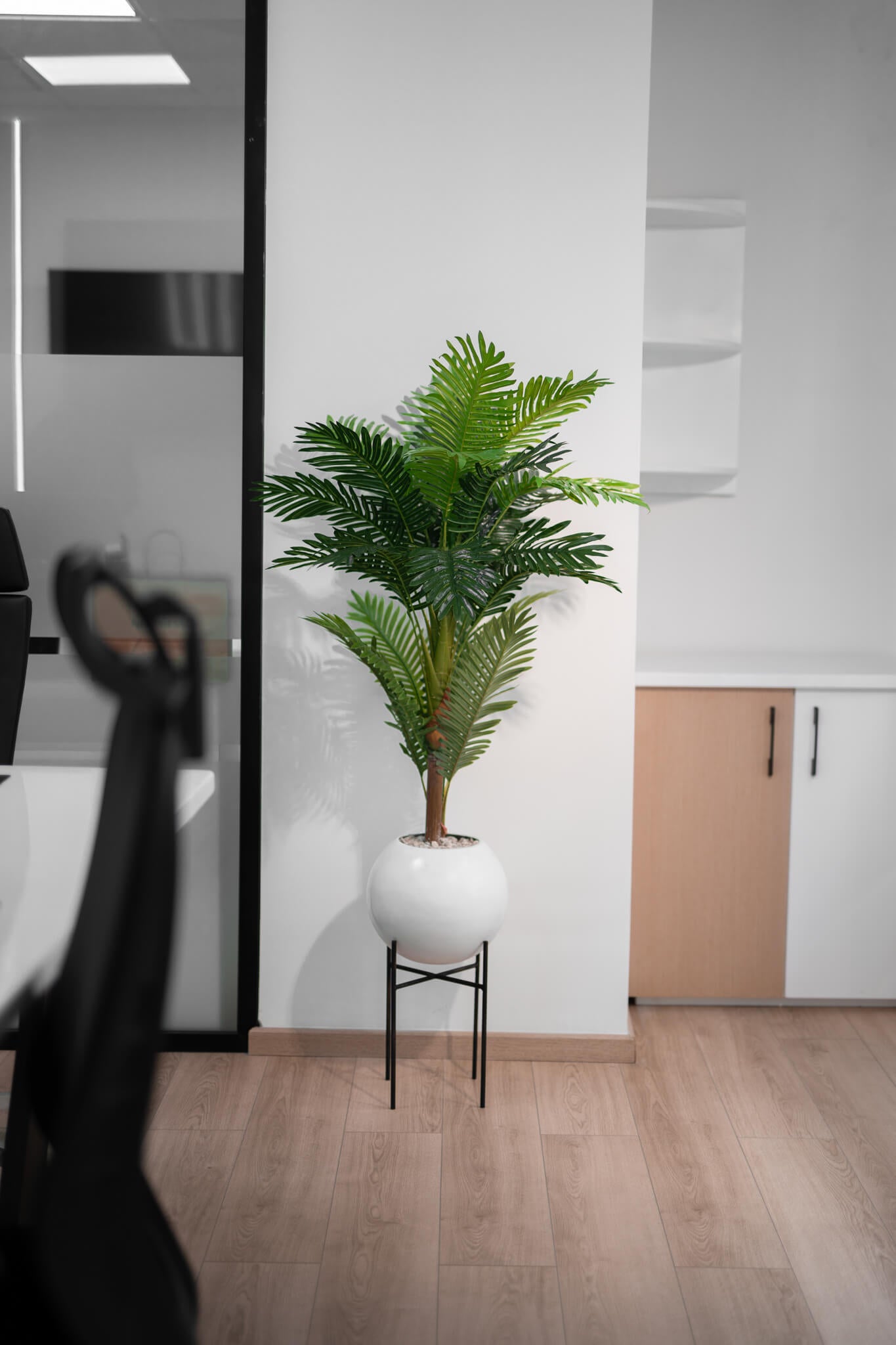 Éternité Tropicale