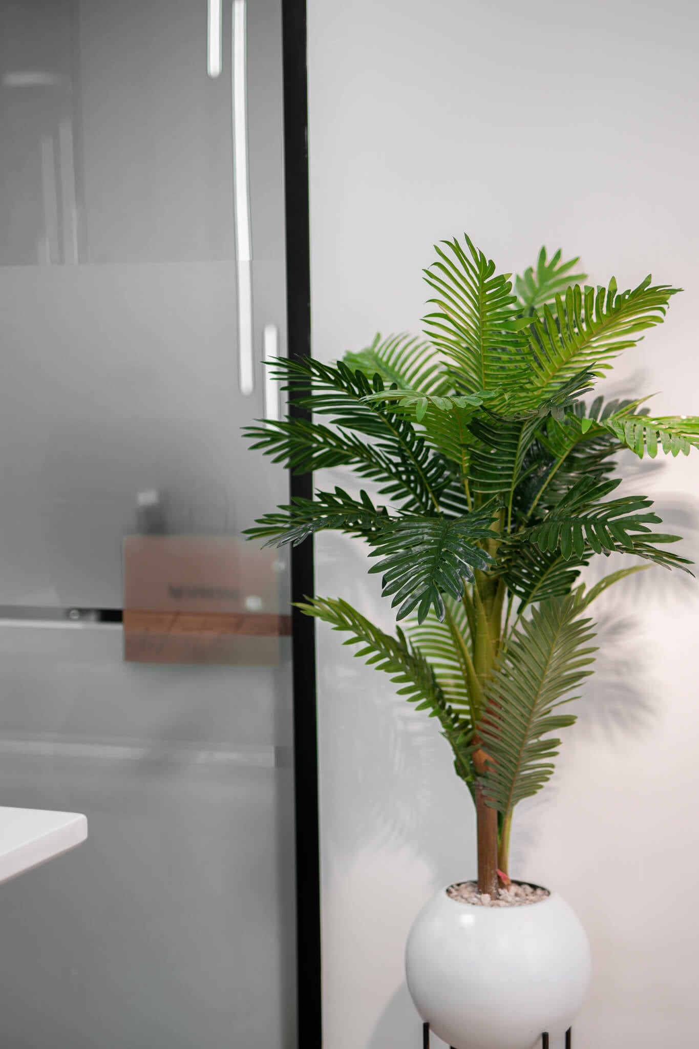 Éternité Tropicale