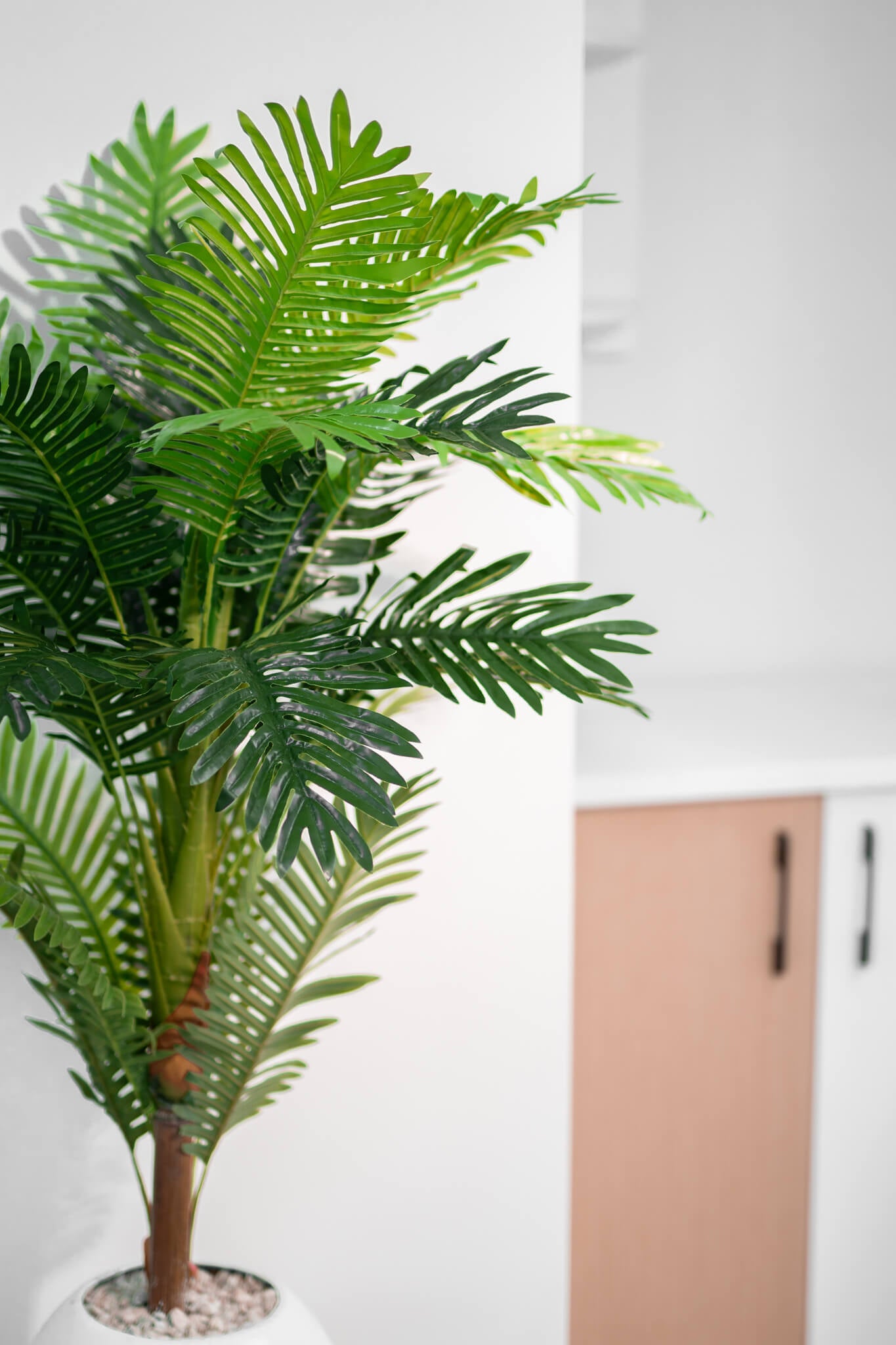 Éternité Tropicale