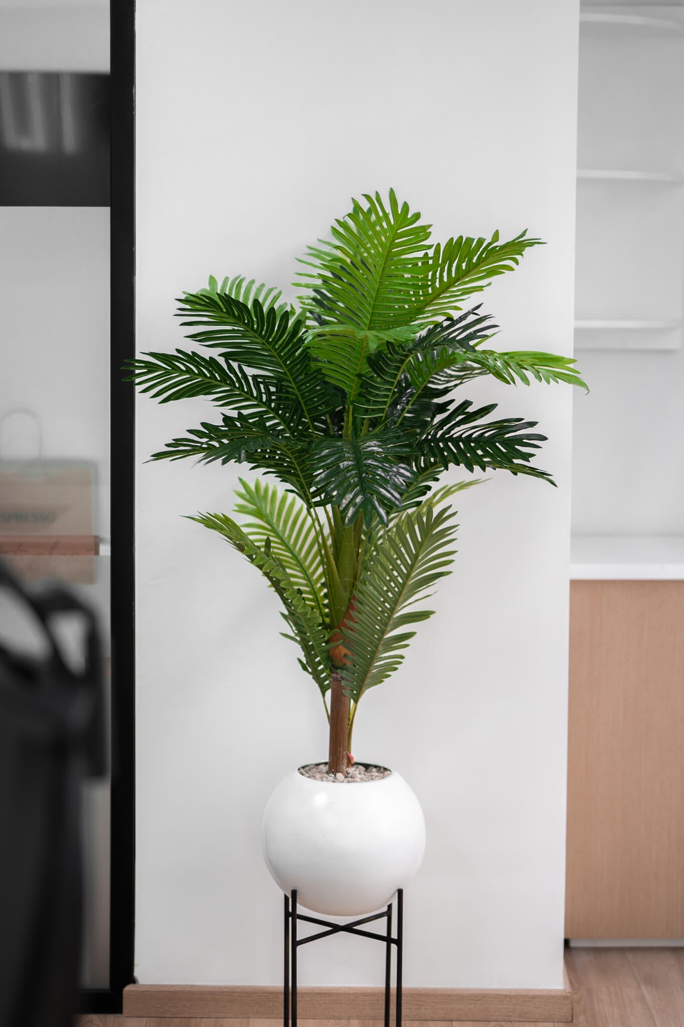 Éternité Tropicale