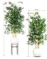 Bambou Élégance Zen