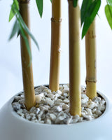 Bambou Élégance Zen