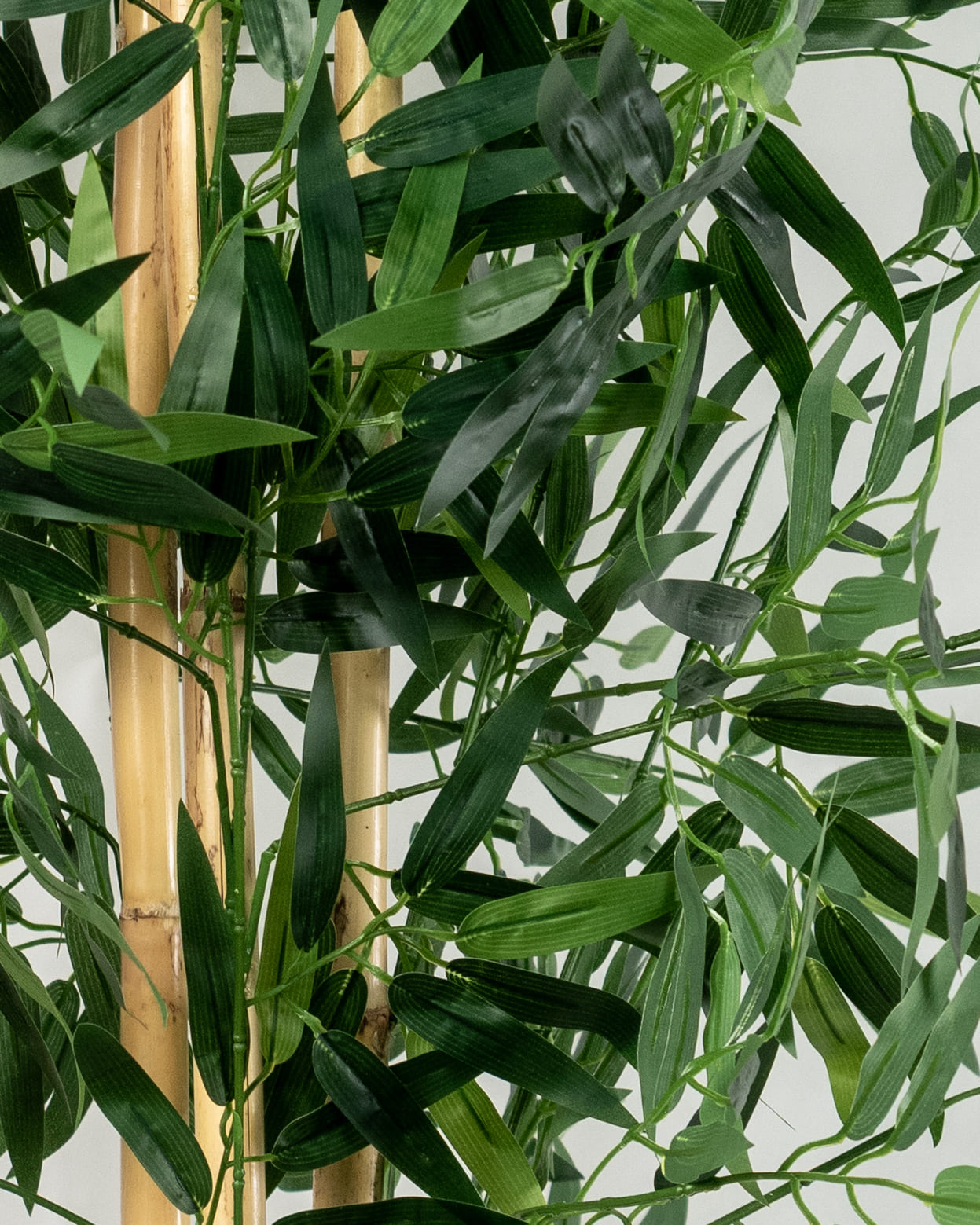 Bambou Élégance Zen