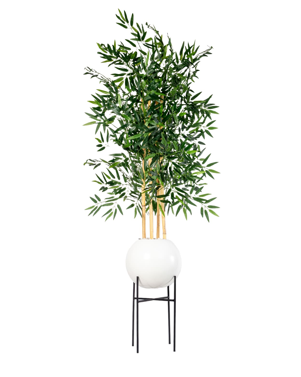 Bambou Élégance Zen