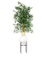 Bambou Élégance Zen