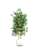 Bambou Élégance Zen