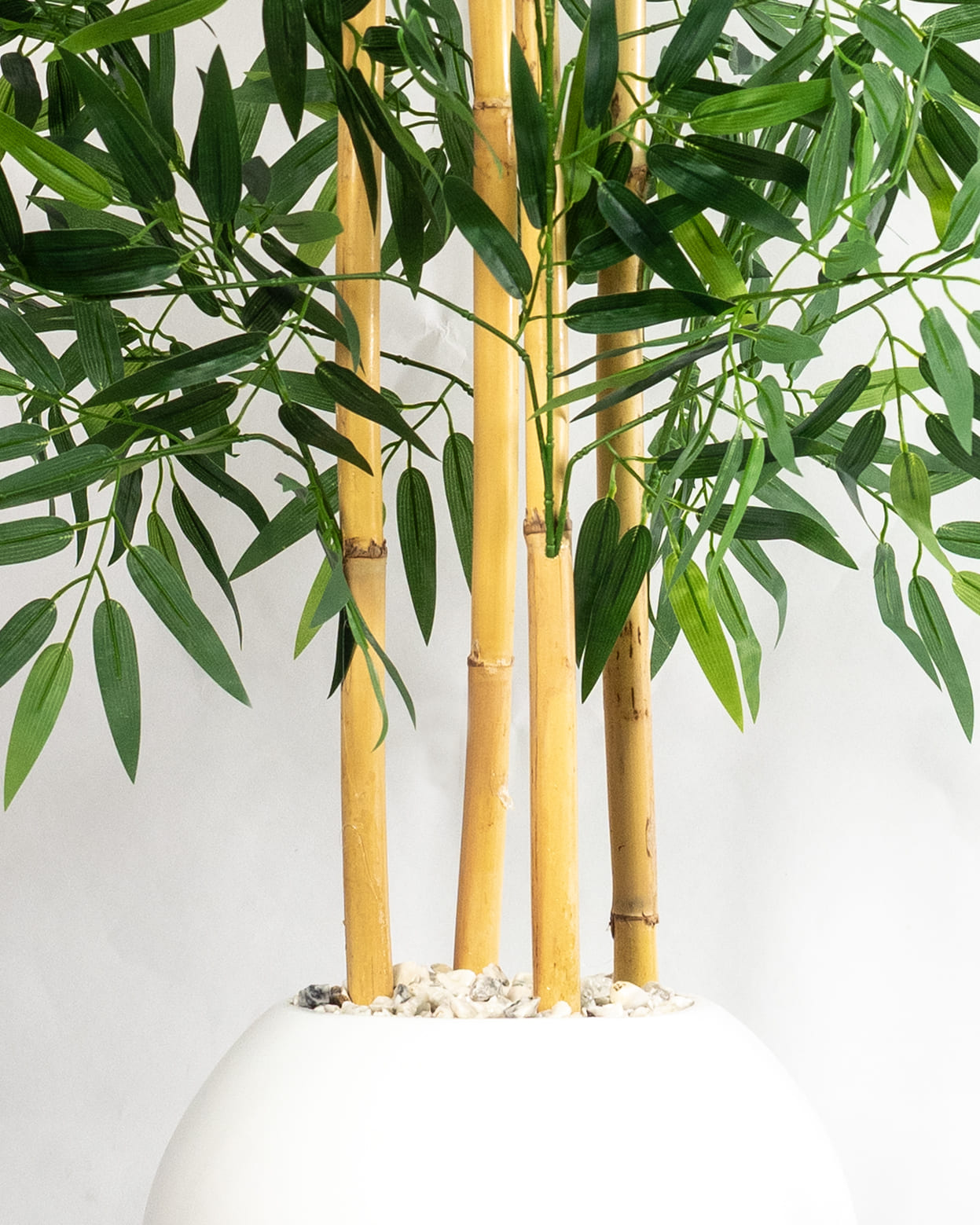 Bambou Élégance Zen