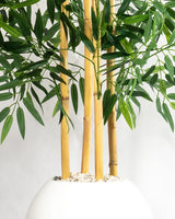 Bambou Élégance Zen