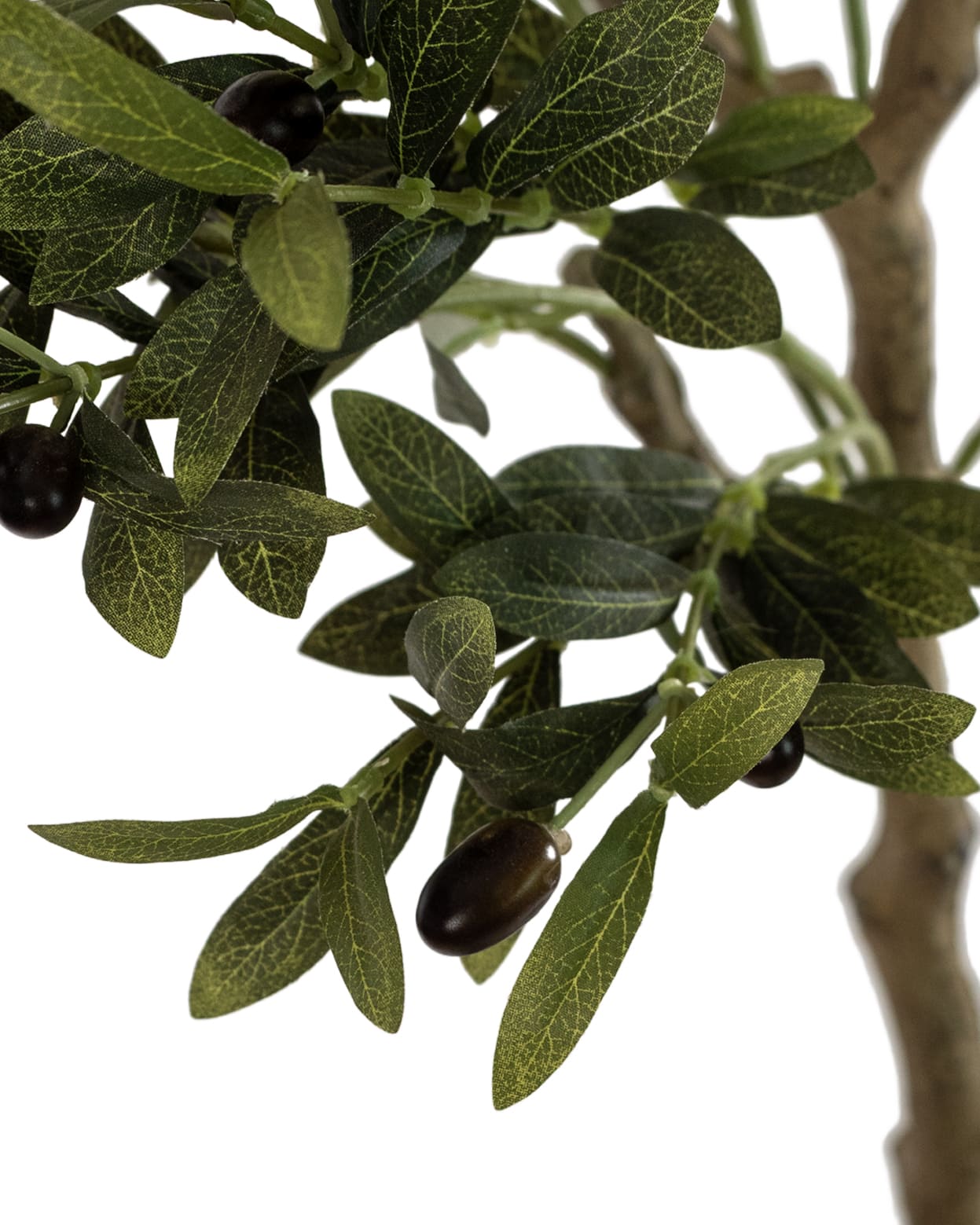 Olivier Déco Méditerranée