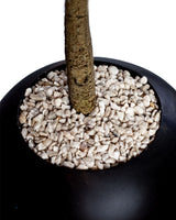 Olivier Déco Méditerranée