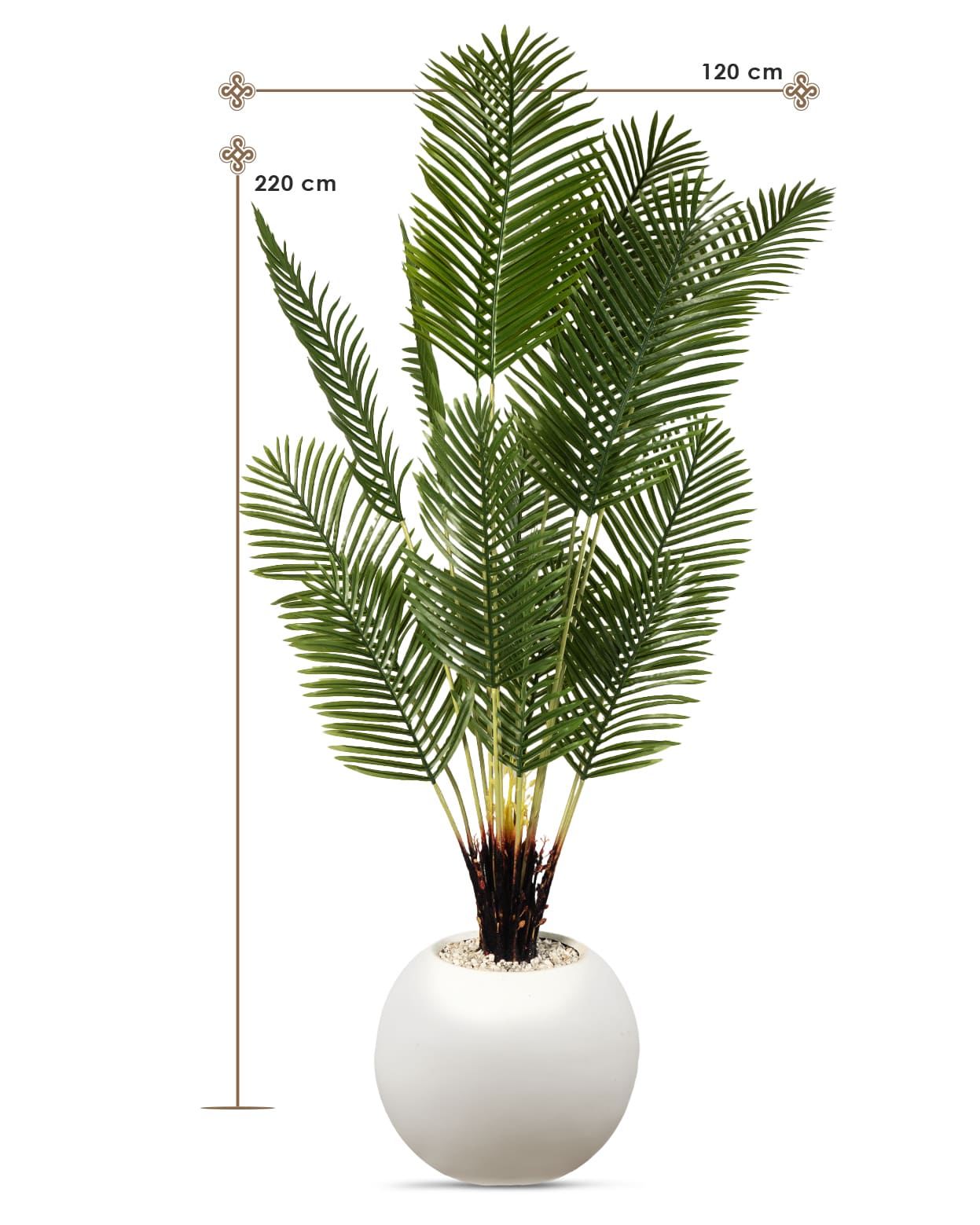 Palmier Élégance Zen 🌿✨