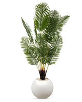 Palmier Élégance Zen 🌿✨