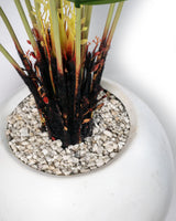 Palmier Élégance Zen 🌿✨