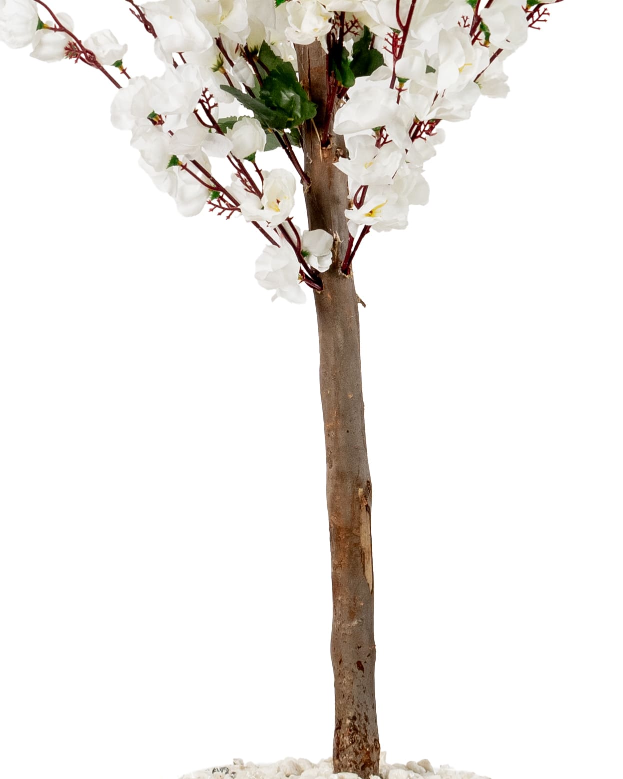 Élégance Florale Blanche