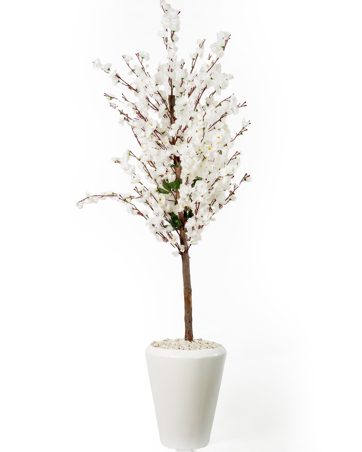 Élégance Florale Blanche