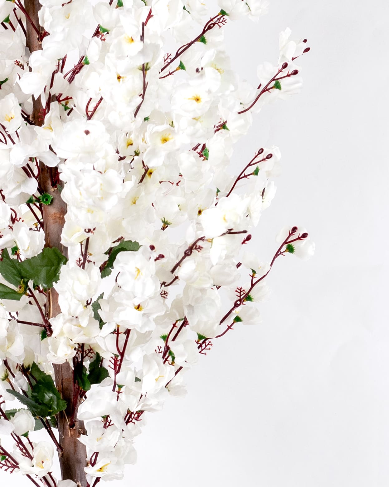 Élégance Florale Blanche