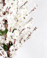 Élégance Florale Blanche