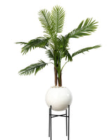 Éternité Tropicale