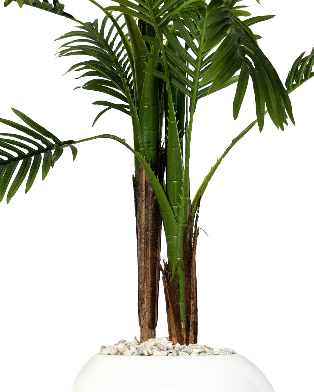 Éternité Tropicale