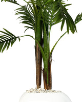 Éternité Tropicale