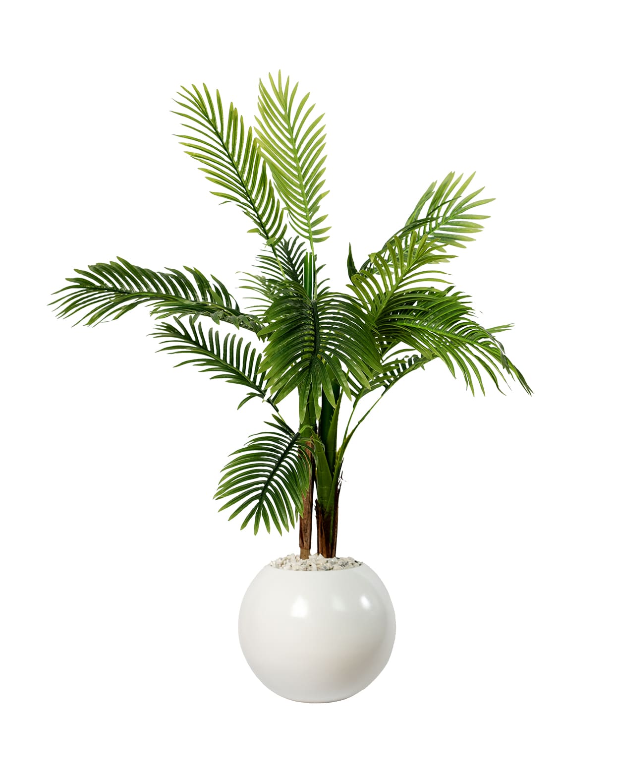 Éternité Tropicale